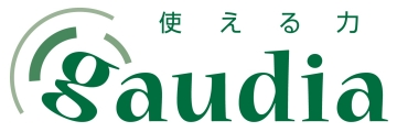 ガウディア　航空公園教室