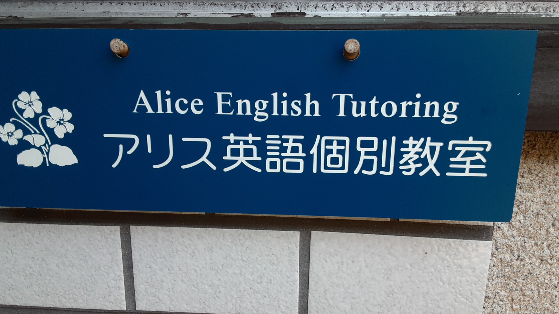 アリス英語個別教室/アリス オンライン個別英語英会話